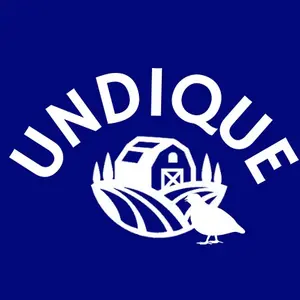Undique.us shop logo