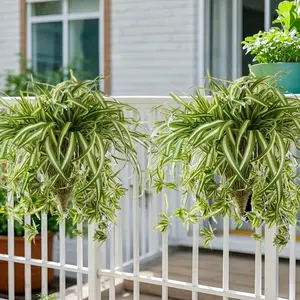 Artificial Pothos Vine, 3 Counts Fake Pothos Vine, Decorative Plant for Home Garden Party Wedding Balcony, Home Decor Supplies, Fruit