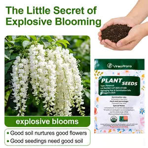 Fragrant Jasmine Seeds Easy Grow Flower Plant for Home Garden Indoor Outdoor and Container Gardening