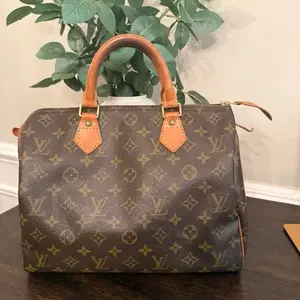 Pre-owned Louis Vuitton Canvas Top Handle Monogram Speedy 30 (1995)