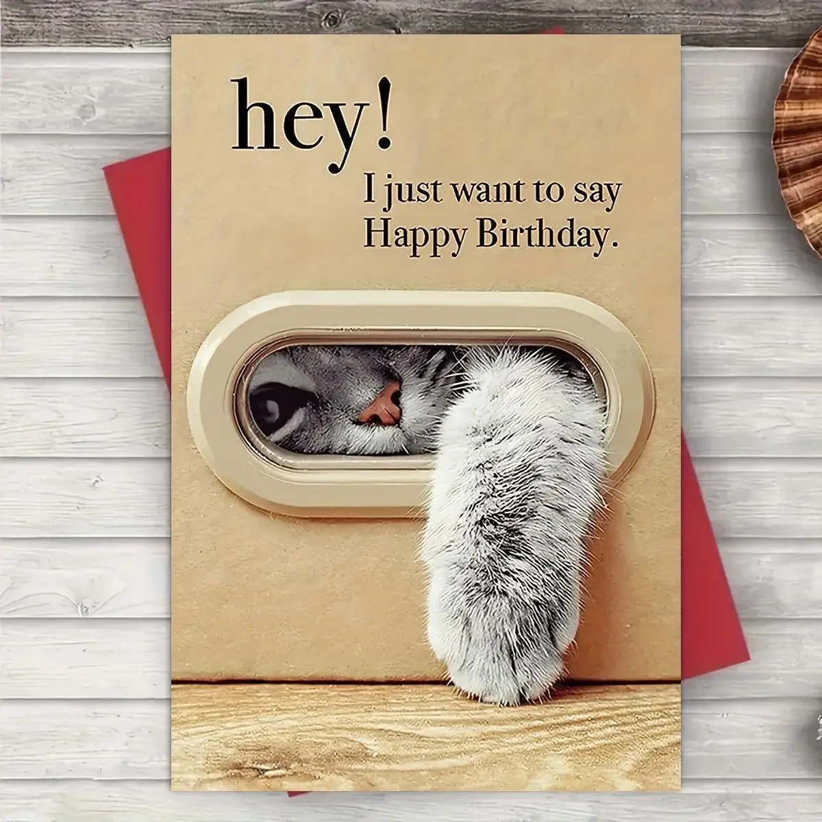 6pc Unique Cat Birthday Greeting Card Set - 3 Cards, 3 Envelopes - Cute Aesthetic Office Stationery Gift for Family