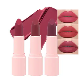 3Pcs Bright Red Wine Red Dark Red Velvet Matte Crayon Lipstick Makeup Sets - Lip gloss, Gloss - Cosmetic, Glossy