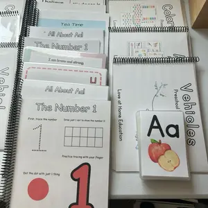 Preschool Bundle!! Full PreK Curriculum, Calm down corner posters, Colors & shapes tracing, A-Z tracing, Vehicles and Animals tracing (full set!)