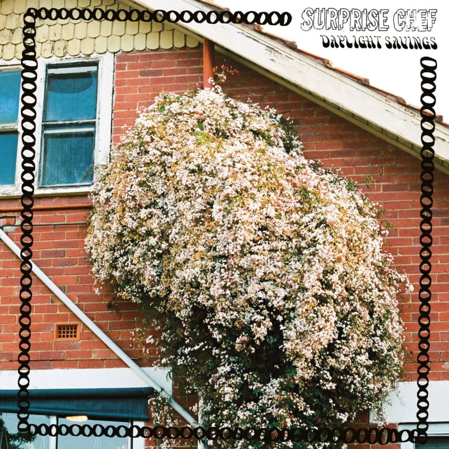 Suprise Chef - Daylight Savings  [COMPACT DISC - CD]