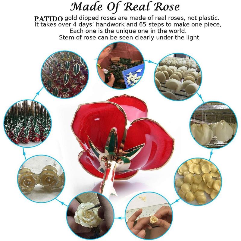 Dipped Rose,24K  Rose with Transparent Stand,Real Long Stem Eternity Rose Flower  for Her,Mom,Wife,Girlfriend,Anniversary,Mothers Day,Birthday,Valentine's,Wedding