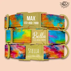 Watercolor Dog Collar and Leash Personalized Dog Collar Gift Custom Engraved Name Girl Dog Collars Custom Engraved Gift For Dog Mom FF-43