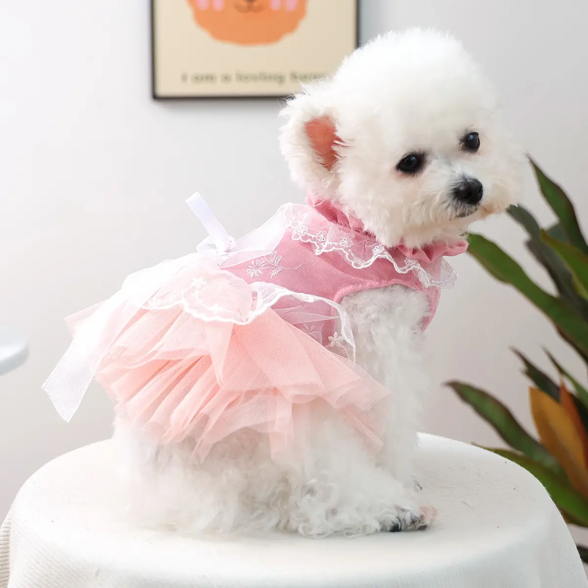 Waltz Tutu Dress for Pets, Luxury Princess Costume for Dogs & Cats, Teddy Bichon Pomeranian Miniature Poodle Dog Clothes, Puppy Clothes