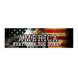 Anti-Trump Bumper Sticker,  America What Have You Done, Pro-Democracy Sticker