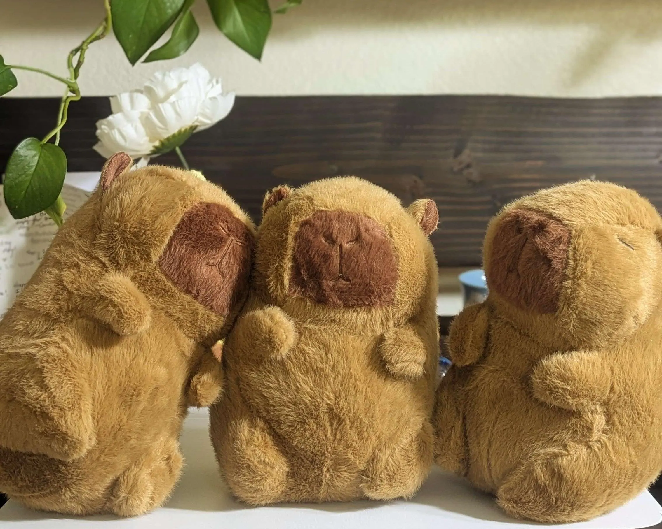 Plush Rush Capital Cappy - Soft Cuddly Capybara Plush from Drama Fauna Series