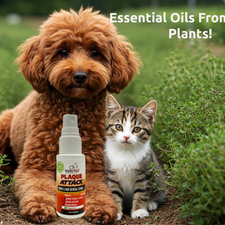 Vets Ref Plaque Attack Pet Dental Spray - 1oz - Multi-Purpose Dental Treatment for Flouride, Calcium & Gingivitis Prevention