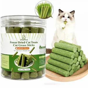 100g Cat Grass Sticks, Delicious Cat Grass Teething Stick Edible Cats Chew Toy Cat Treats Snack for Teeth Cleaning and Hairball Removal
