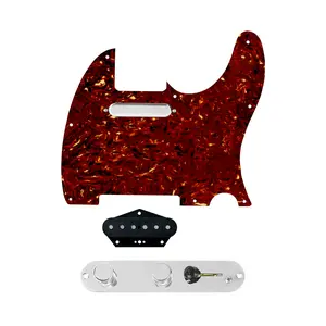 920D Custom Texas Grit Loaded Pickguard for Tele With Tortoise Pickguard and T3W-REV-C Control Plate
