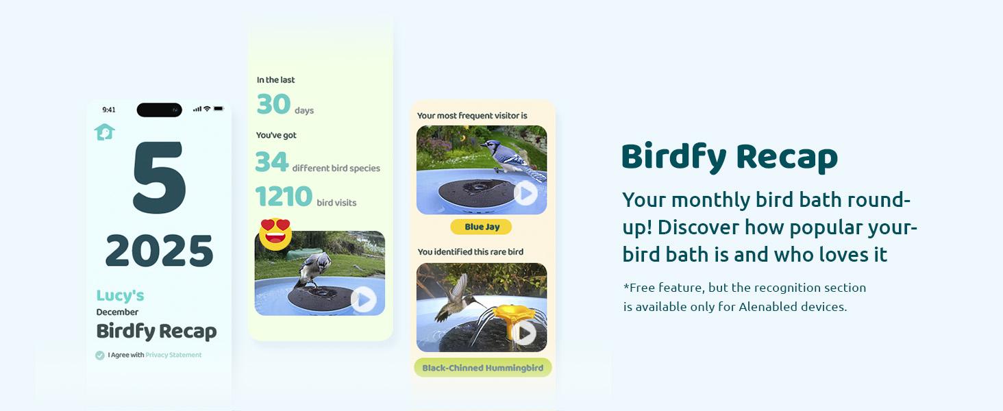 Birdfy Smart Bird Bath with Camera Solar Powered & Fountain, Dual-Lens Camera for Wildbird Watching, Auto Capture Bird Videos & Motion Detection, SummerVibes, Petlovers