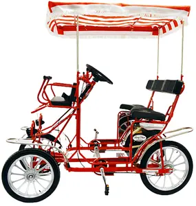 Surrey Bike (2-seats) Deluxe