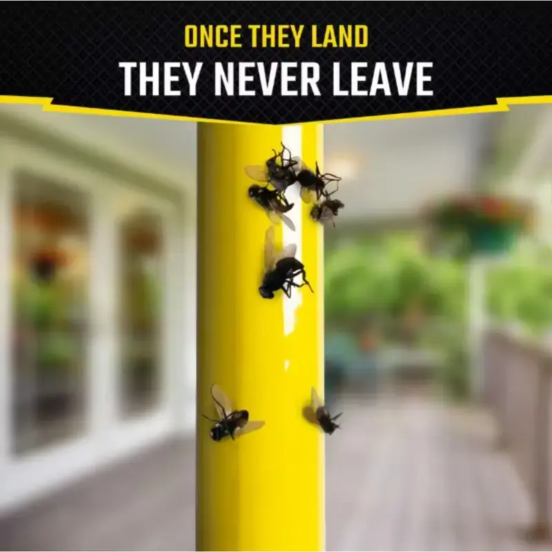 Reusable Fruit Fly Trap- Indoor and Outdoor Universal Non-Toxic Adhesive Trap, Super Strong Adhesive Hanging Insect Trap, Suitable for Garden/Kitchen/Patio