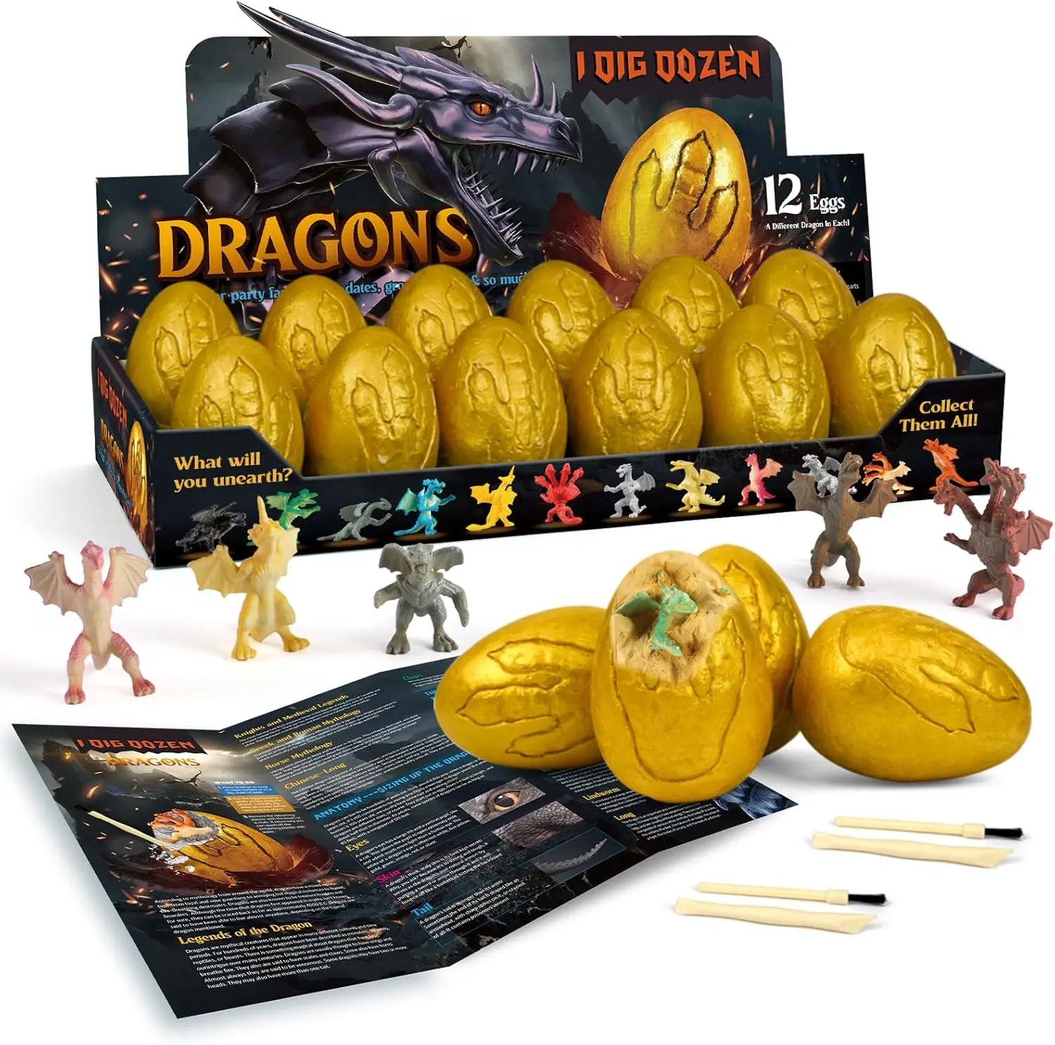 Medieval Dragon Eggs - Unearth Dragon Toys with Excavation Guidebook Build Your Dragon Army Educational STEM Toys for Kids America Edition