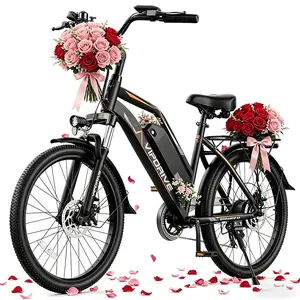 Urban Adult Electric Bicycle | 500W High-Speed Brushless Motor (Peak 750W) | 48V 7.8Ah Removable Battery | Top Speed 22 MPH | 24-Inch Low-Step E-Bike | LCD Color Display | Bright LED Headlight | 7-Speed Shifter | Rear Rack | UL Certified