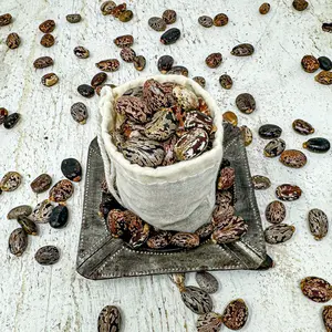 Organic Castor Seeds For Planting (50)