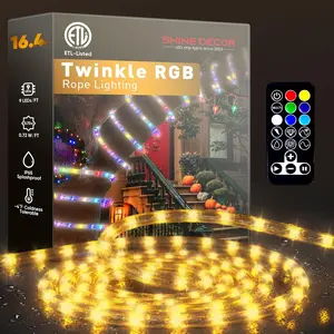 Twinkle RGB LED Rope Lights Remote Control Waterproof Cold Resistant Colorful Christmas Fairy Lights for Indoor Outdoor Decor