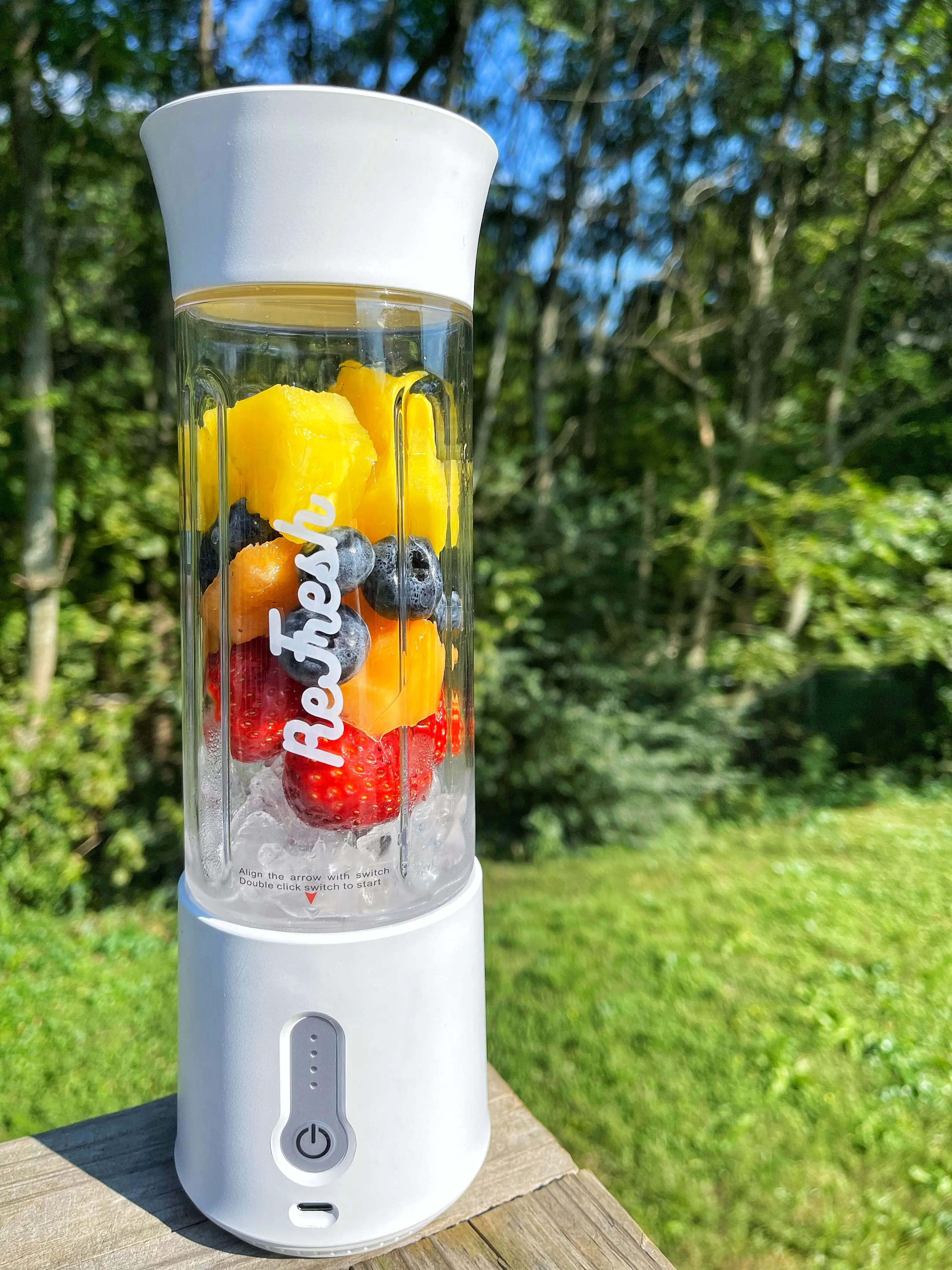 ReFresh Portable Blender, 16 oz, High Powered 6-blade, USB-Chargeable, On-the-go blending