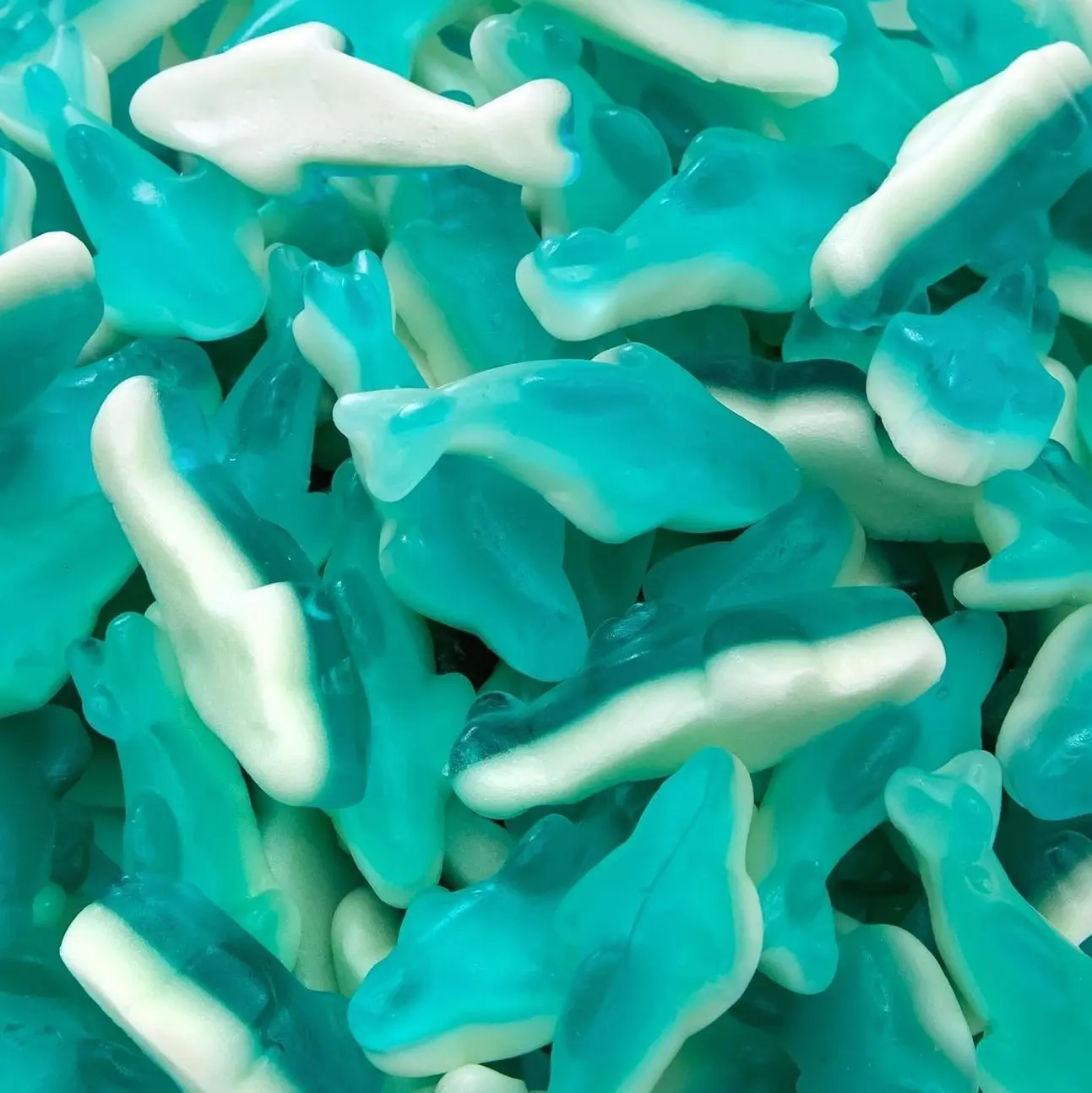 Blue Gummy Sharks | 1-Pound Bag | Dye Free Candy | Shark Gummies for Parties, Buffets, and Goodie Bags | Gummy Fish with Blue Raspberry Flavor | Chewy Candy