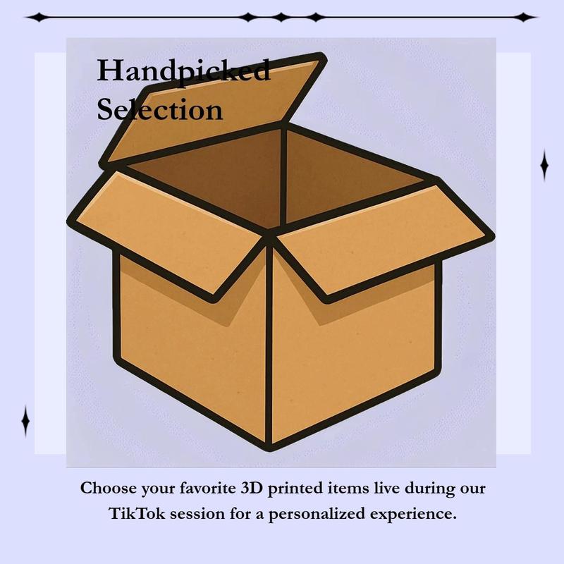 Custom 3D Printed Figurine & Fidget Box – Choose Your Value Collectible Room Decor Ornaments