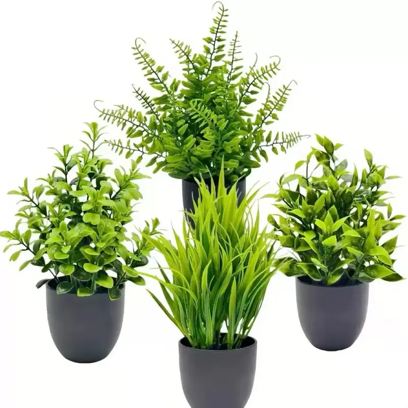 house palm tree plant Areca Palm Plant in 6 inch Pot main image 1