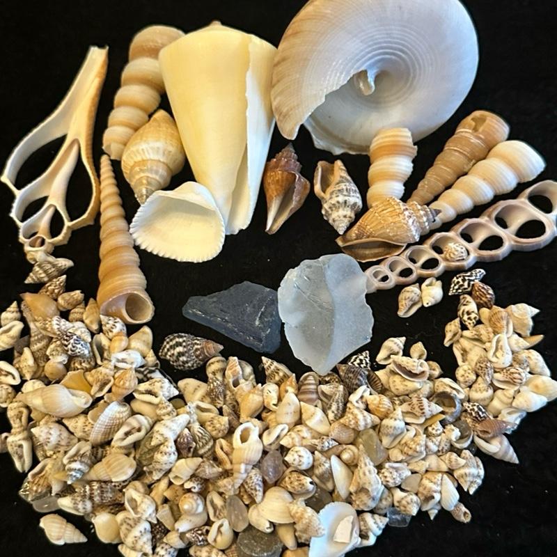 Everything Gallon Mining Bucket