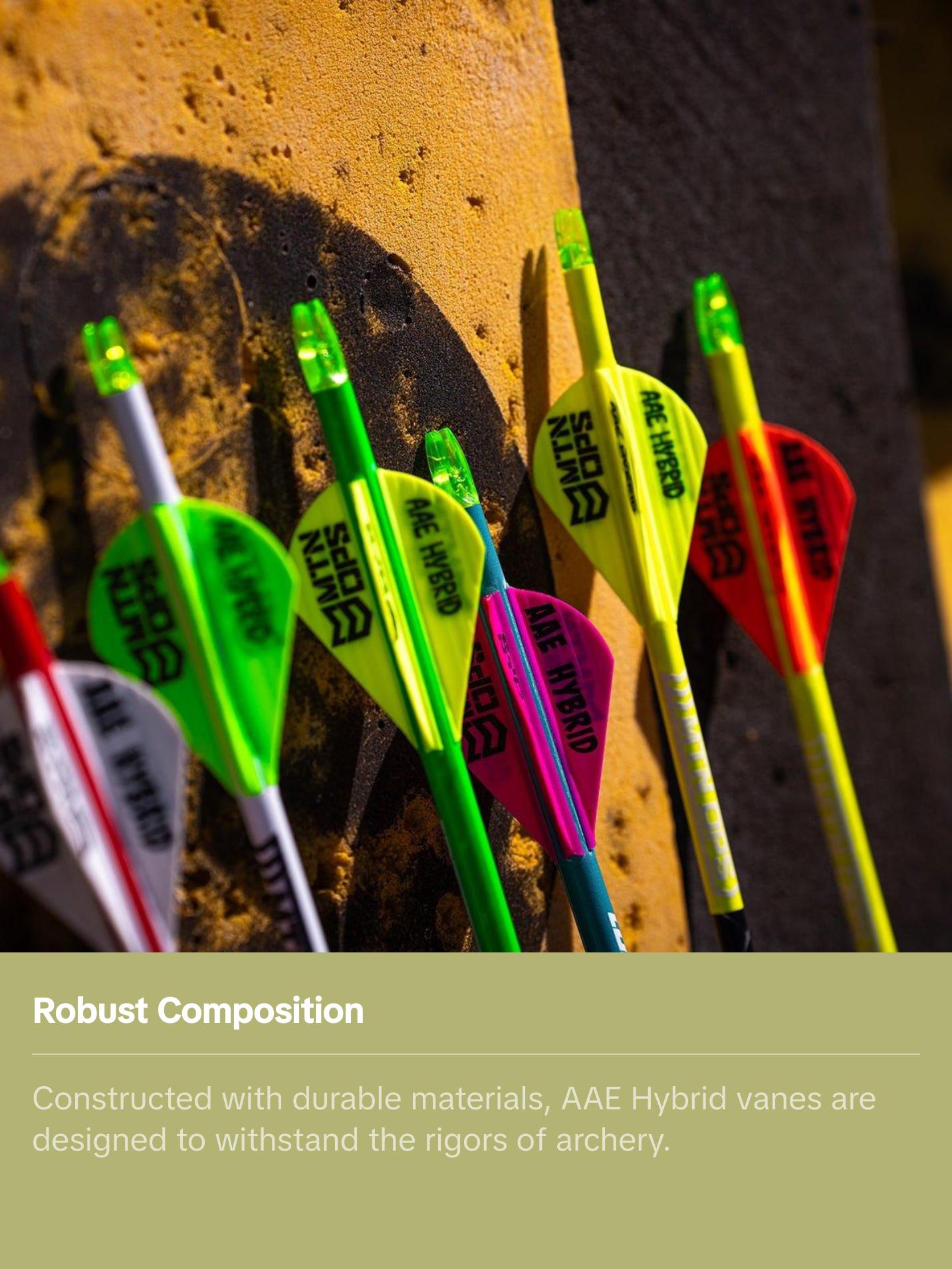 AAE HYBRID - HP ARROW VANES