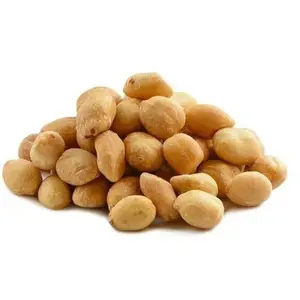 Shelled (No Shell) Roasted No Salt Peanuts