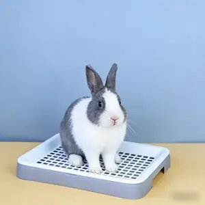 Small Pet Toilet for Rabbits Hamsters Guinea Pigs Pygmy Hedgehogs, Detachable Easy Clean Poop Tray, Daily Use and Training