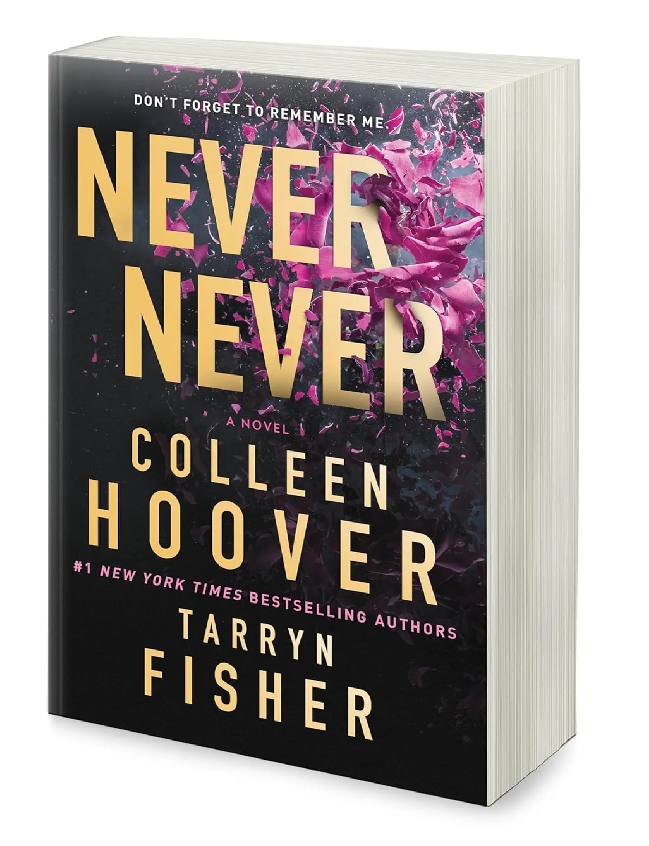 Never Never: A Romantic Suspense Novel of Love and Fate by Colleen Hoover & Tarryn Fisher (Paperback)