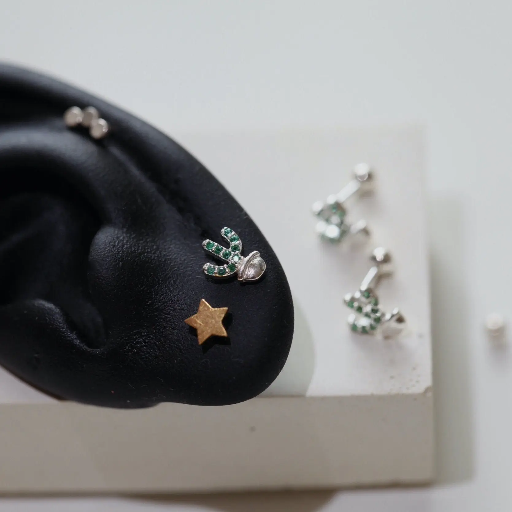 Succulent Plant Earrings
