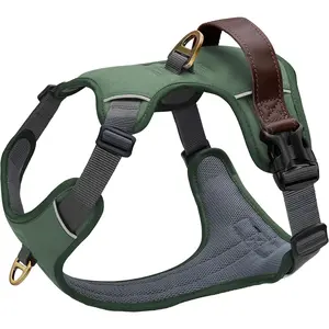 Didog No Pull Dog Harness Small Sized Dog,Classic PU Leather Vest for Small Dogs with Easy Control Handle,No Choke Front Clip,Reflective & Adjustable for Walking,Green,Chest 19-24"