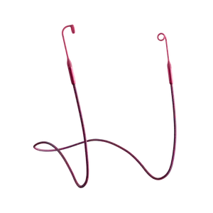 Tomorrowland x Loop Link