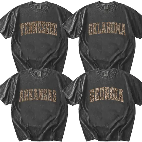 Comfort Colors Leopard All 50 States T-Shirt, Custom State Name Graphic Tee, USA States Shirt, College Leopard Print Shirt, Personalized Gift for Her, Trendy Unisex Cotton Top, Cute Travel Souvenir Tee - Valley State Co