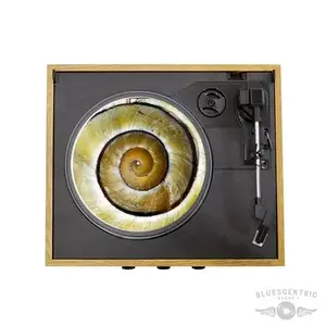 Graphic Snail Shell Spiral Turntable Slip Mat