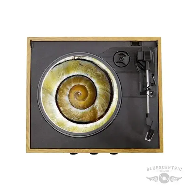 Graphic Snail Shell Spiral Turntable Slip Mat