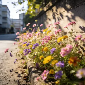 Home Grown Wildflower Seeds Bulk Seeds Mix 20000 (Pure Seeds - No Filler) Attracting Bees, Birds & Butterflies,Mother's Day