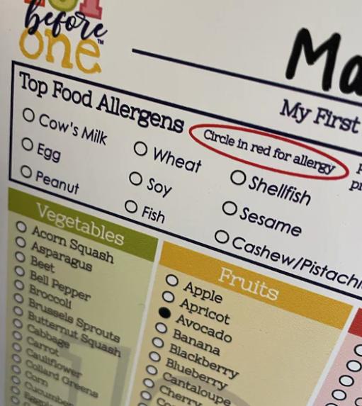 101 before one - 101 Foods Checklist Fridge Magnet - DRY ERASE - Baby Led Weaning List