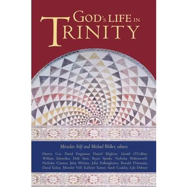USED-God's Life in Trinity by Volf, Miroslav (Paperback)