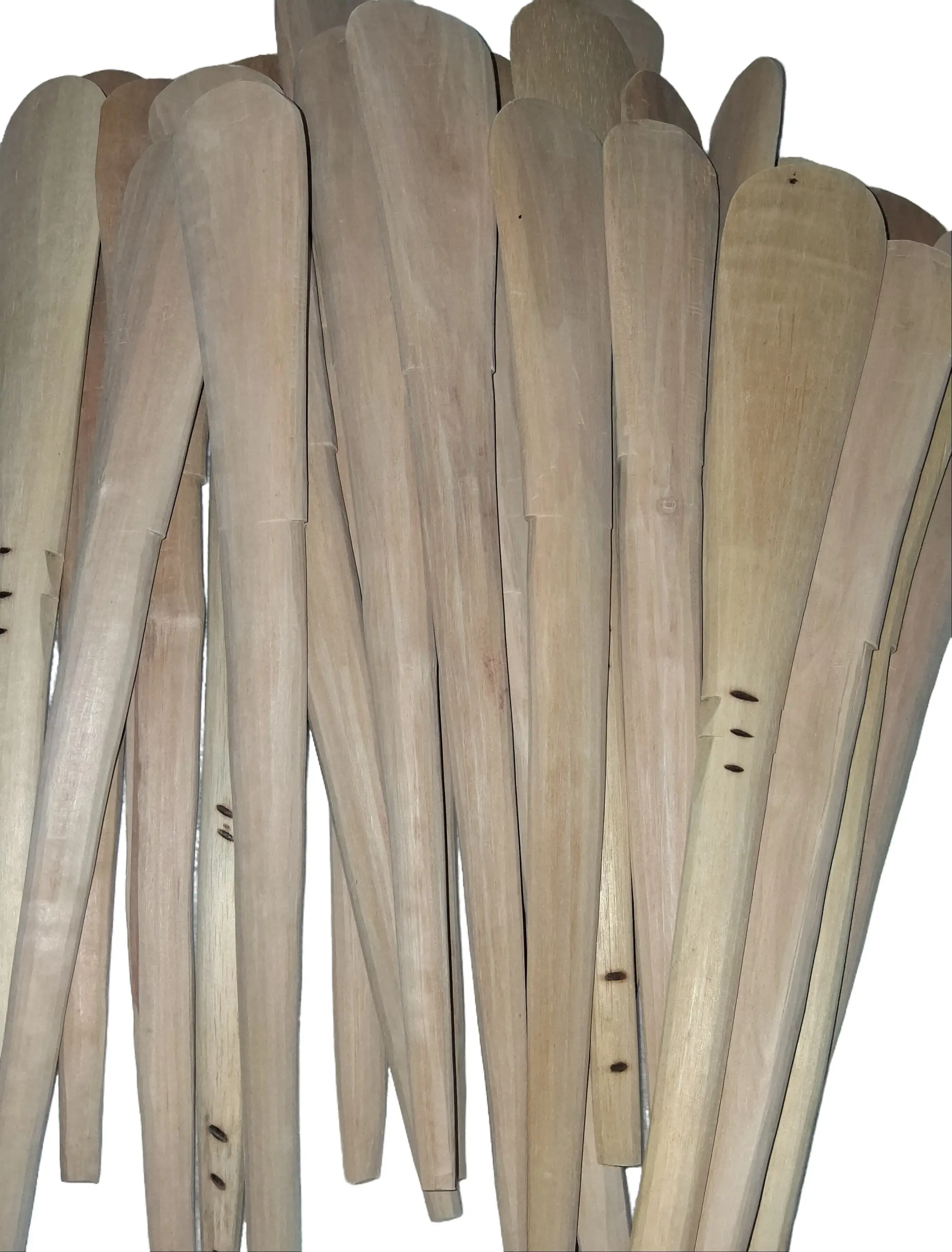 Africa spatula Africa spatula