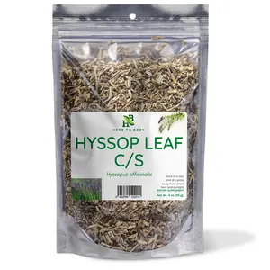 Hyssop Leaf C/S Hyssop Leaf C/S