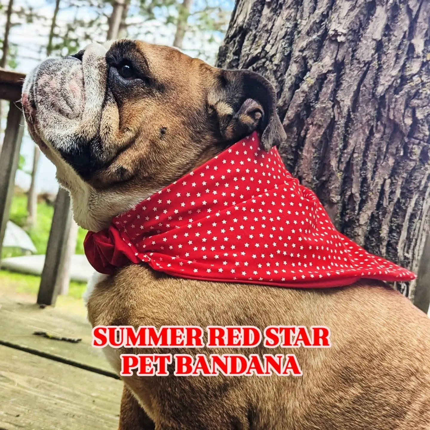 Summer Red Star Pet Bandana