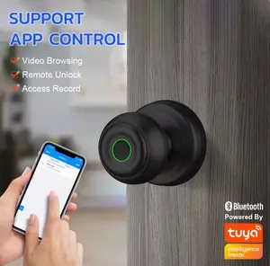 Tuya Smart Door Lock 3-in-1 Keys Biometric Key App Control Triple Access Security Fingerprint Scanner Digital Keypad Mechanical Key Smart Home Integration