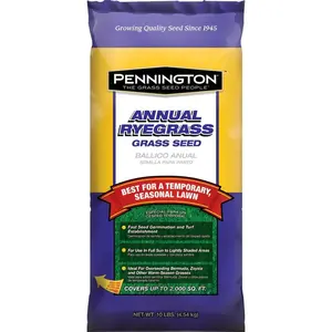 212 MAIN Annual Ryegrass Turf Grass Seeds, 10 lbs Bag, Lawn Overseeding Office & School Supplies