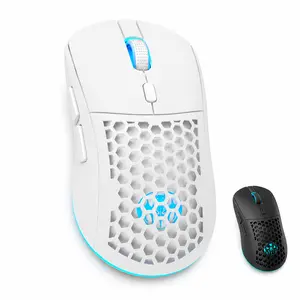 Wireless gaming mouse, lightweight honeycomb RGB mouse with 2.4G USB receiver, adjustable DPI optical sensor, ergonomic rechargeable mouse for PC and laptop gaming