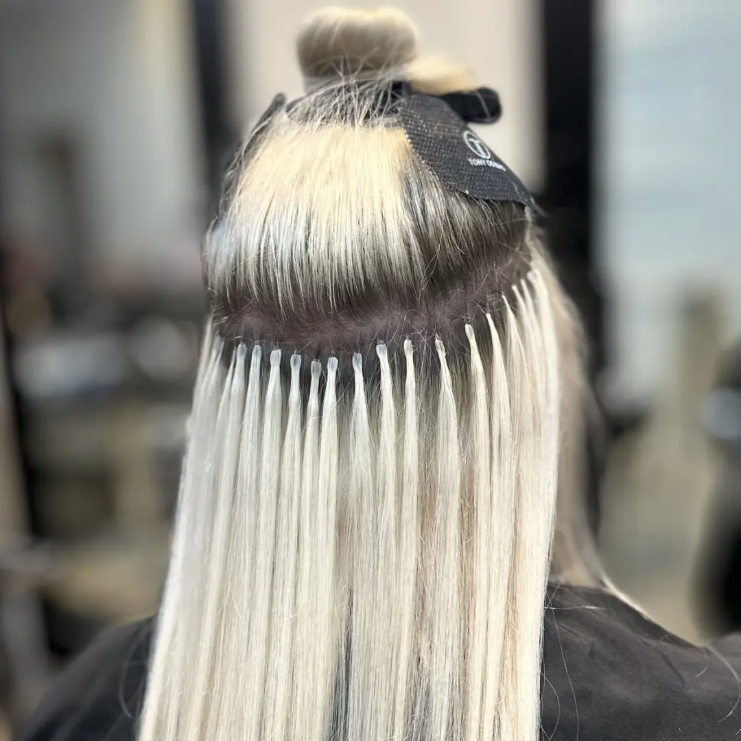 Original Fusion Extensions Original Fusion Extensions