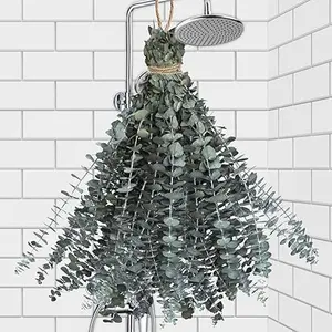 11 PCS Real Dried Eucalyptus for Shower Hanging Decor- 17'' Large Eucalyptus Stems Shower Plants from Fresh Eucalyptus Leaves for Shower, Shower Stuff Green Home Bathroom Vase Decor, DIY Decorative Fruit