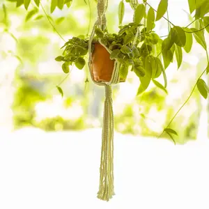 What’s Hangin’? Macrame Plant Holder